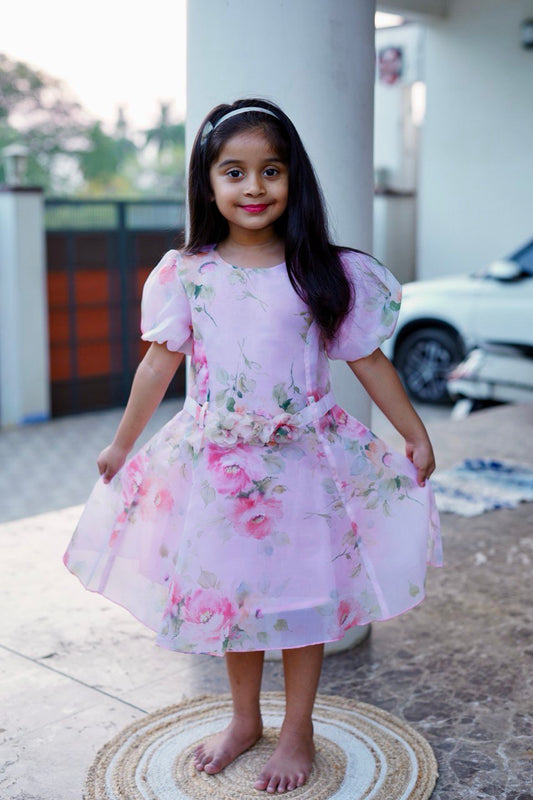 Party wear frock