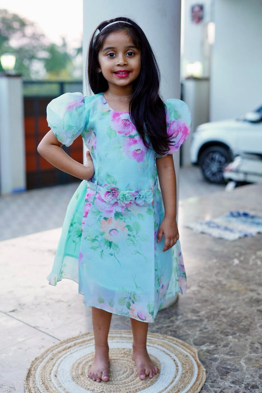 Party wear frock