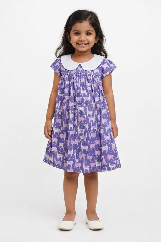 Baby Girls Cotton Frock Summer Dress | Comfortable Skin-Friendly Fabric | Printed Casual Outfit for Toddlers and Kids