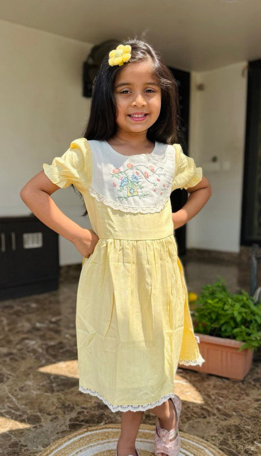 "Elegant Girls' Embroidered Lace Frock – Vintage Party Dress for Ages 1 to 8 Years"