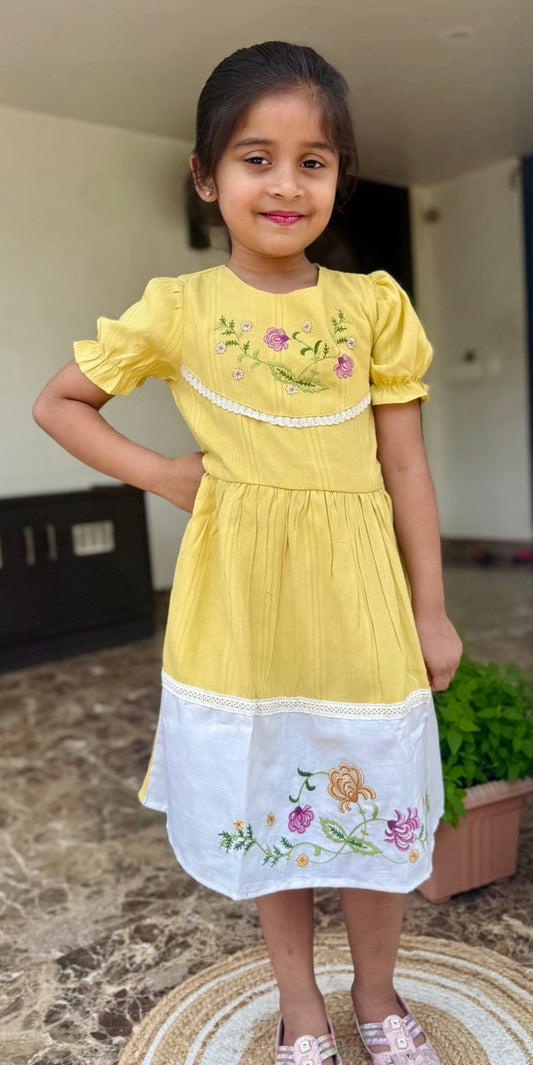 "Elegant Girls' Embroidered Lace Frock – Vintage Party Dress for Ages 1 to 8 Years"