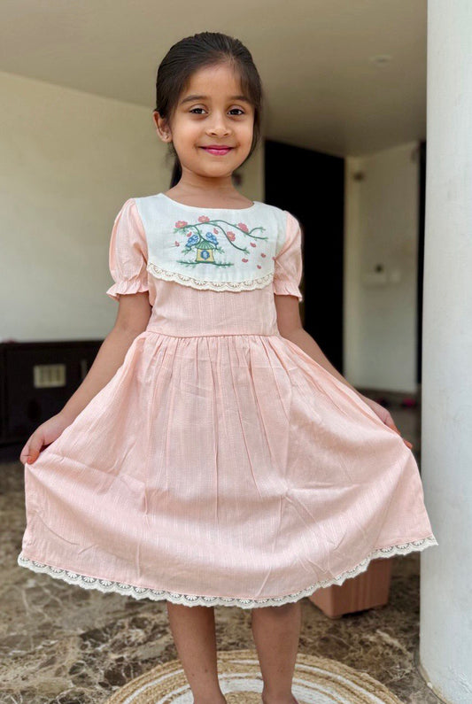 "Elegant Girls' Embroidered Lace Frock – Vintage Party Dress for Ages 1 to 8 Years"